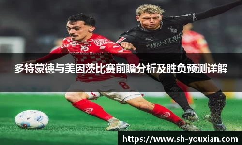多特蒙德与美因茨比赛前瞻分析及胜负预测详解