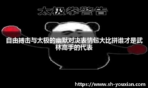 自由搏击与太极的幽默对决表情包大比拼谁才是武林高手的代表