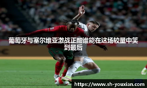 葡萄牙与塞尔维亚激战正酣谁能在这场较量中笑到最后